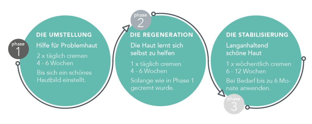 DemoDerm 3 Phasen Anwendung