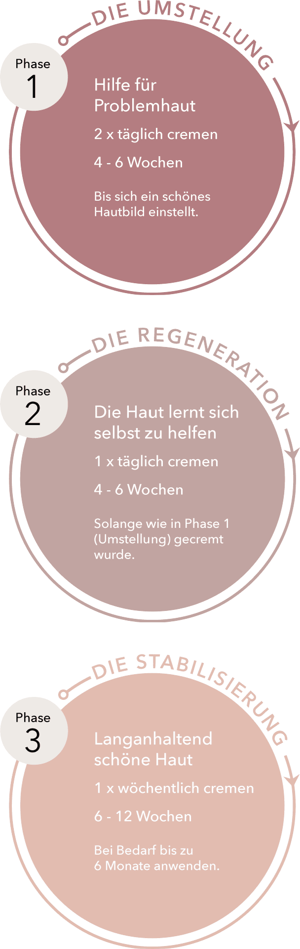 DemoDerm® 3-Phasen-Anwendung DemoDerm 3-Phasen-Anwendung