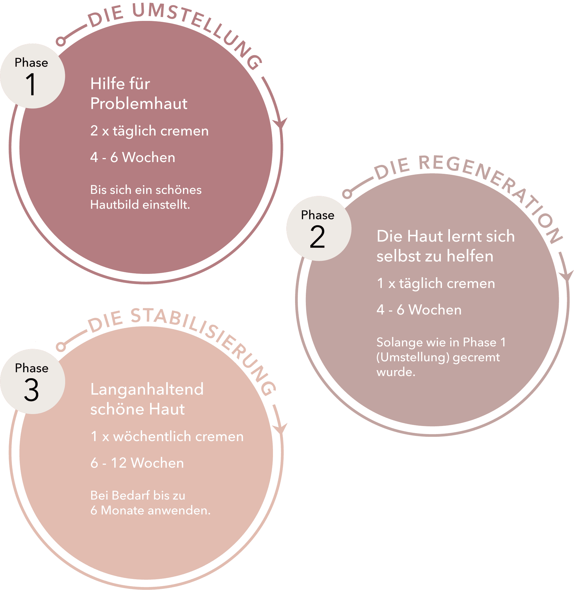 DemoDerm® 3-Phasen-Anwendung DemoDerm 3-Phasen-Anwendung