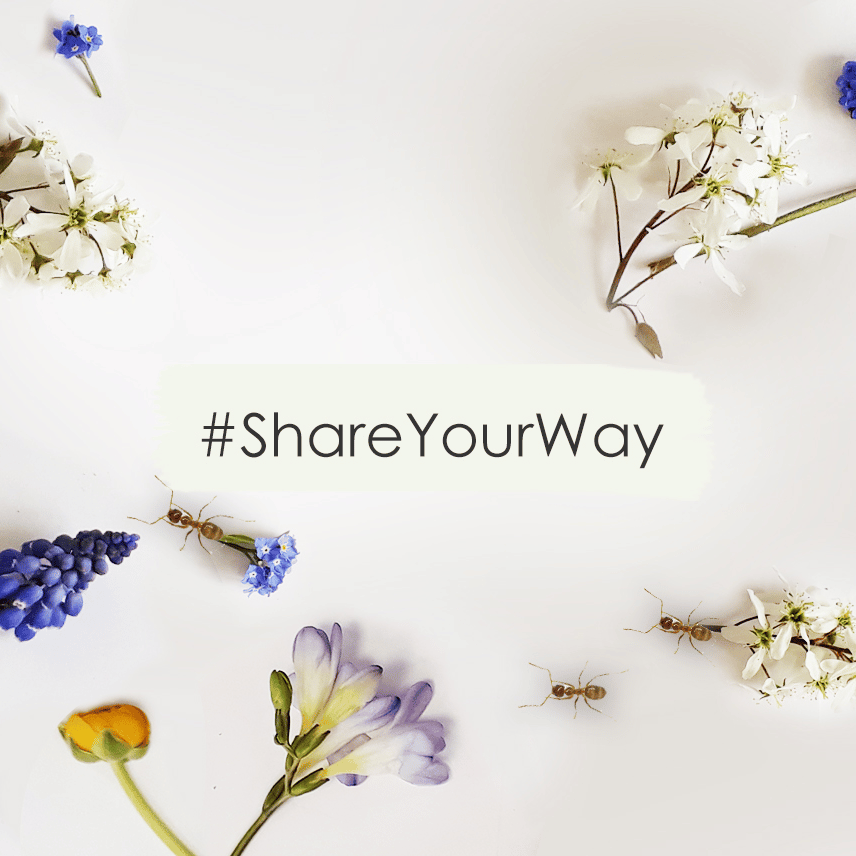 DemoDerm® - ShareYourWay DemoDerm - ShareYourWay