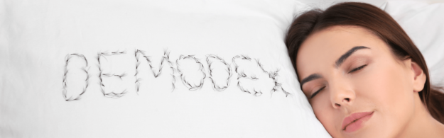 Wie können Hautmilben eine Rosacea auslösen? - DemoDerm Rosacea Blog